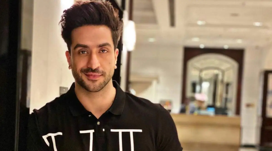 Aly Goni: From Television Star to Reality Show Icon