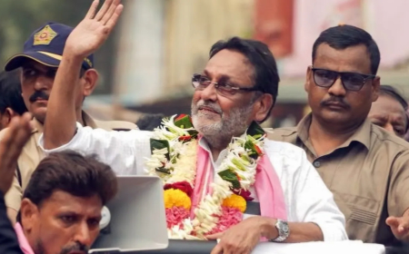 Shiv Sena Faces Off with Nawab Malik's Family as Avinash Rane Takes the Stage