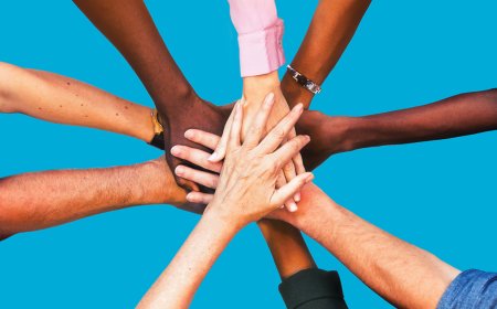 From Grassroots to Governments: The Role of Civil Society in Politics